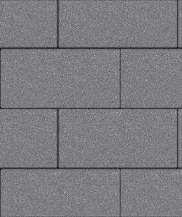 Тротуарная плитка Выбор Ла-Линия, Стандарт, Серый, 80 мм 600*300